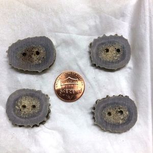 Rustic Men’s Wear - Antler Buttons